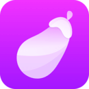 女王的意志 sodu
